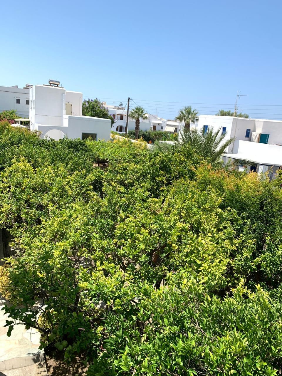 Garden view