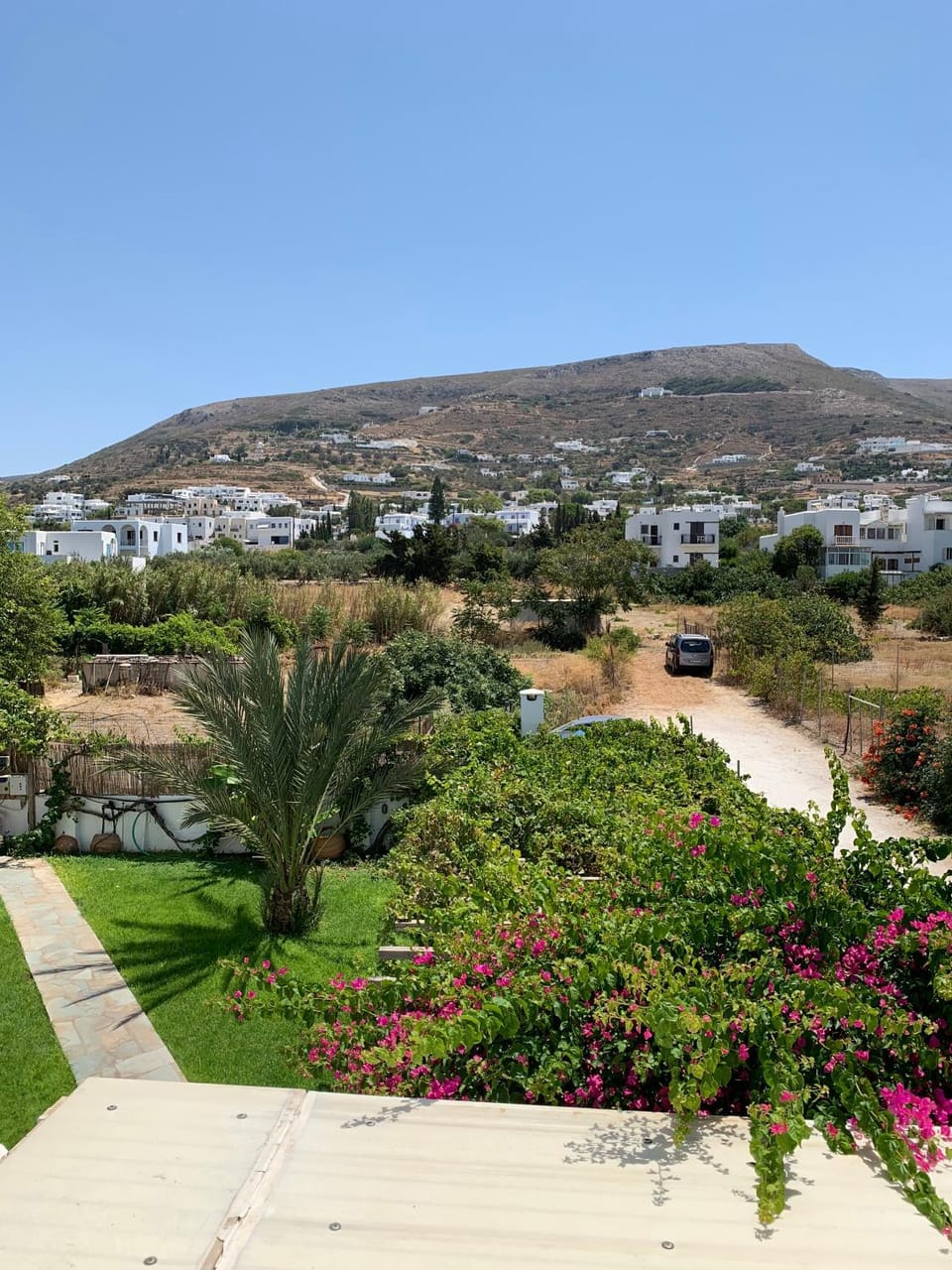 Garden view