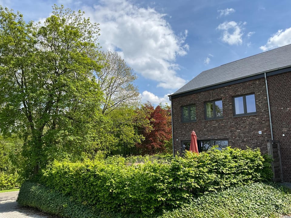 Spring, Day, Natural landscape, Garden, Garden view