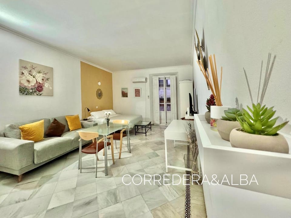 Habitaciones Casa Sevillana Centro Vacation rental in Seville