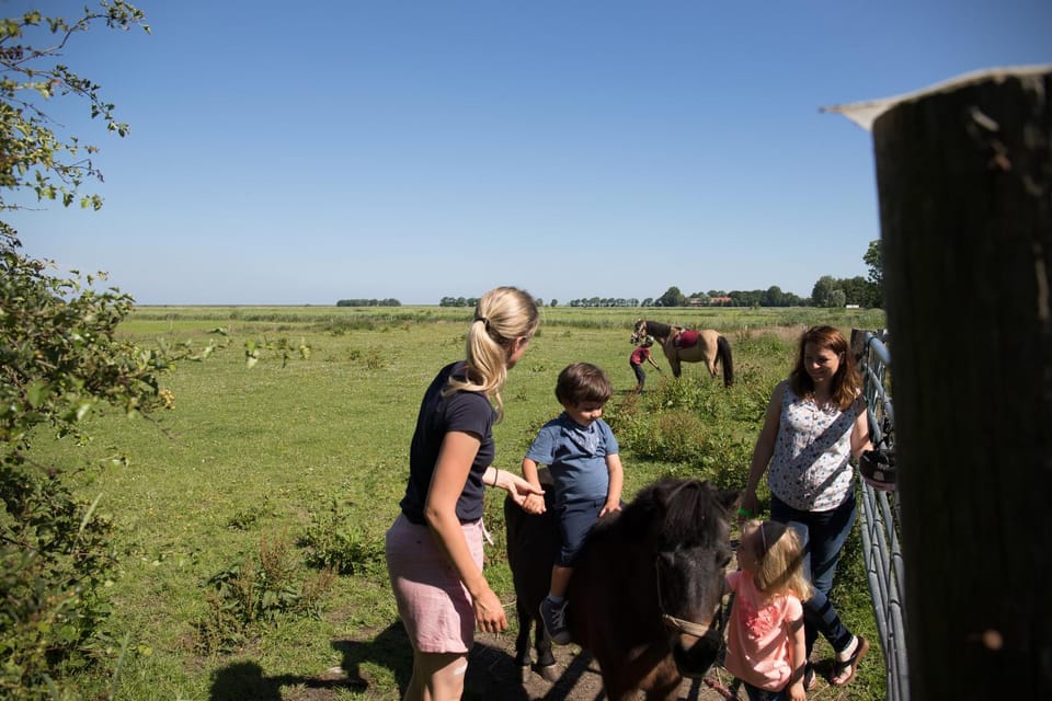 Natural landscape, Horse-riding, Animals, children