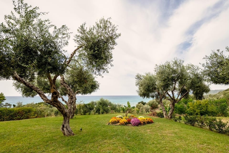 Garden, Garden view, Sea view