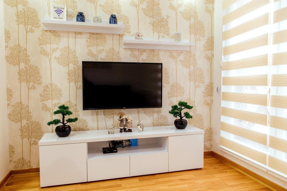 TV and multimedia