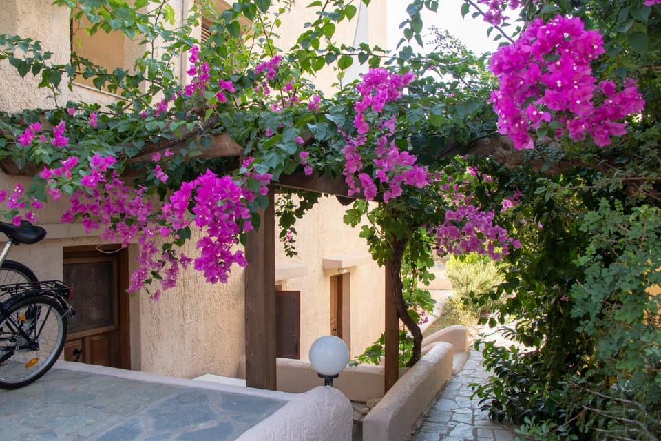 Property building, Patio