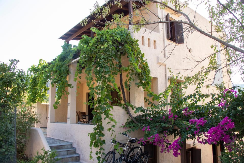 Property building, Facade/entrance, Garden