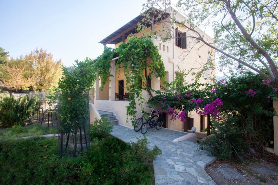 Property building, Facade/entrance, Garden