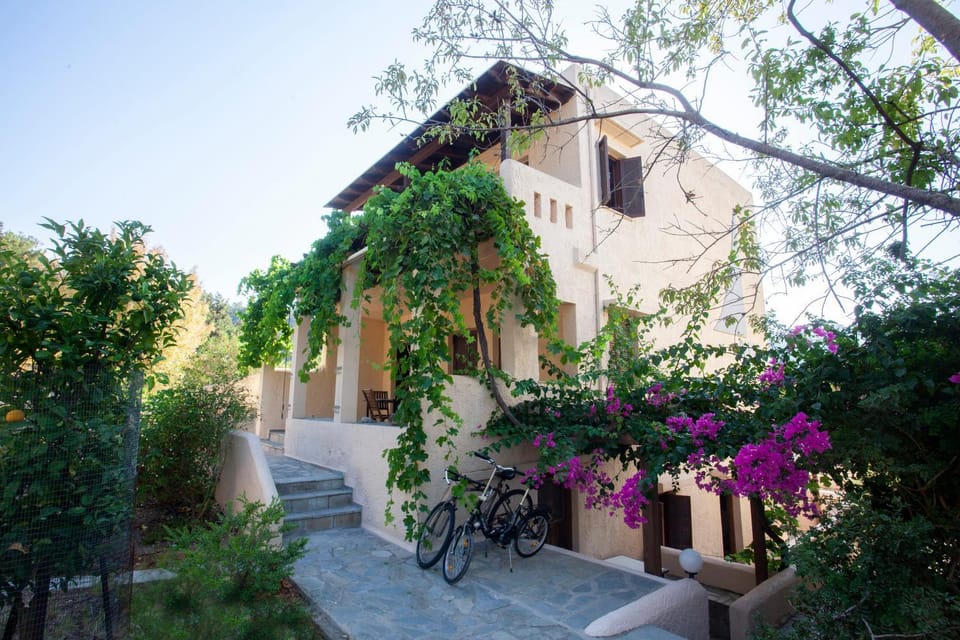 Property building, Facade/entrance, Garden