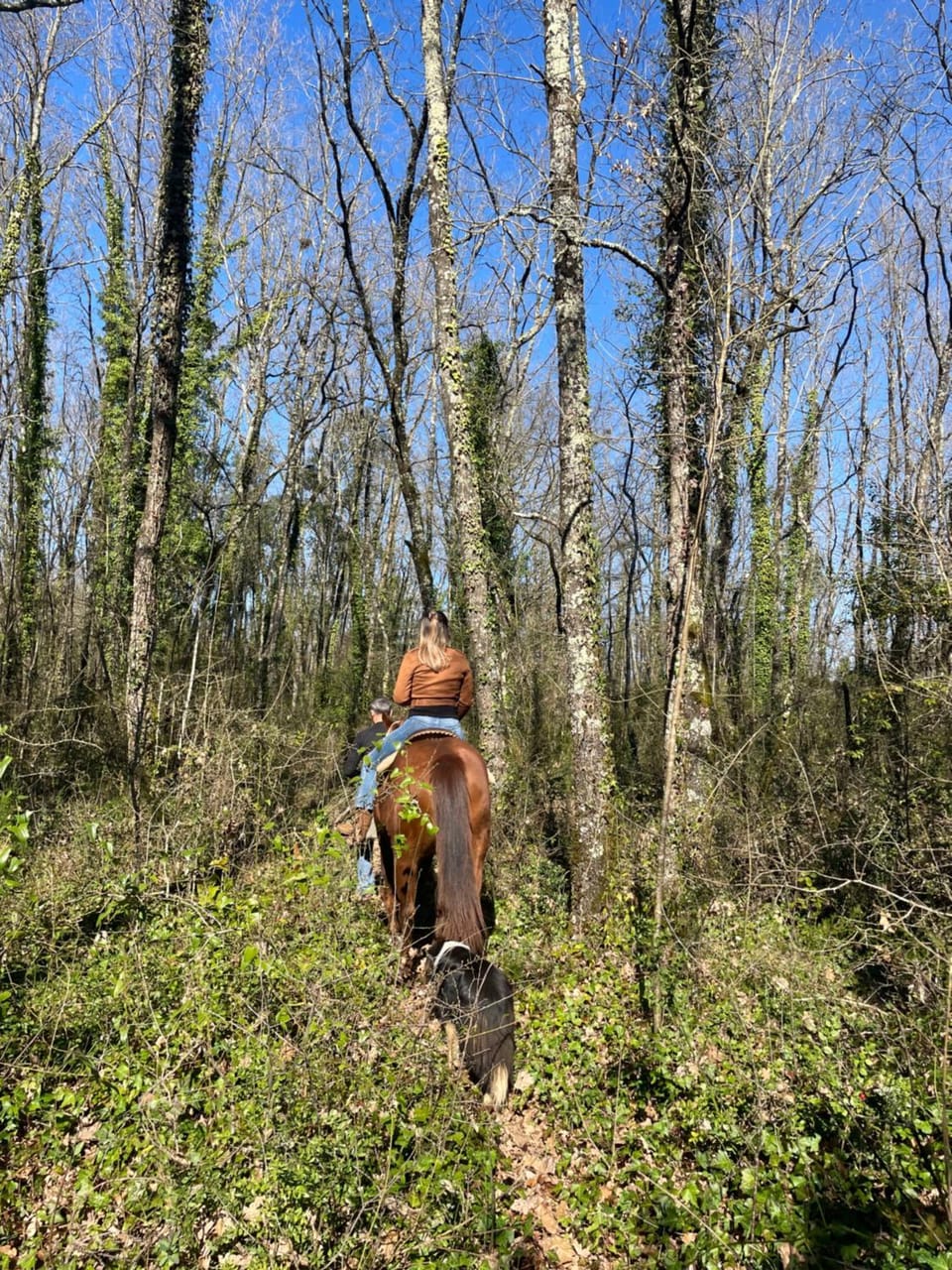 Relax, mare, natura e cavalli Giuliano di Roma Apartment in Lazio
