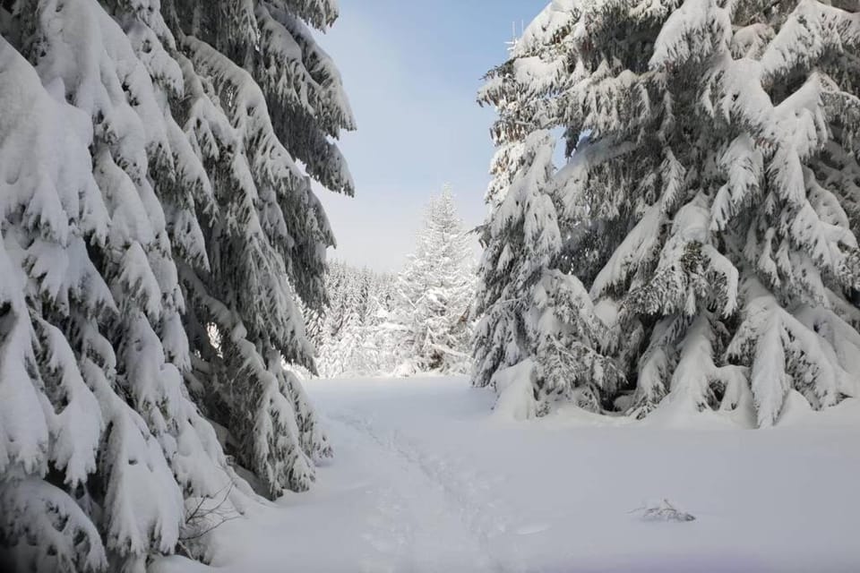 Fraîcheur , forêt d'Aubrac , au coeur de la nature House in Auvergne-Rhône-Alpes