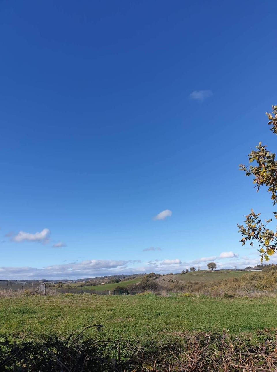 Natural landscape