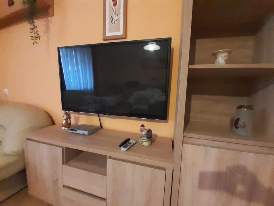 TV and multimedia