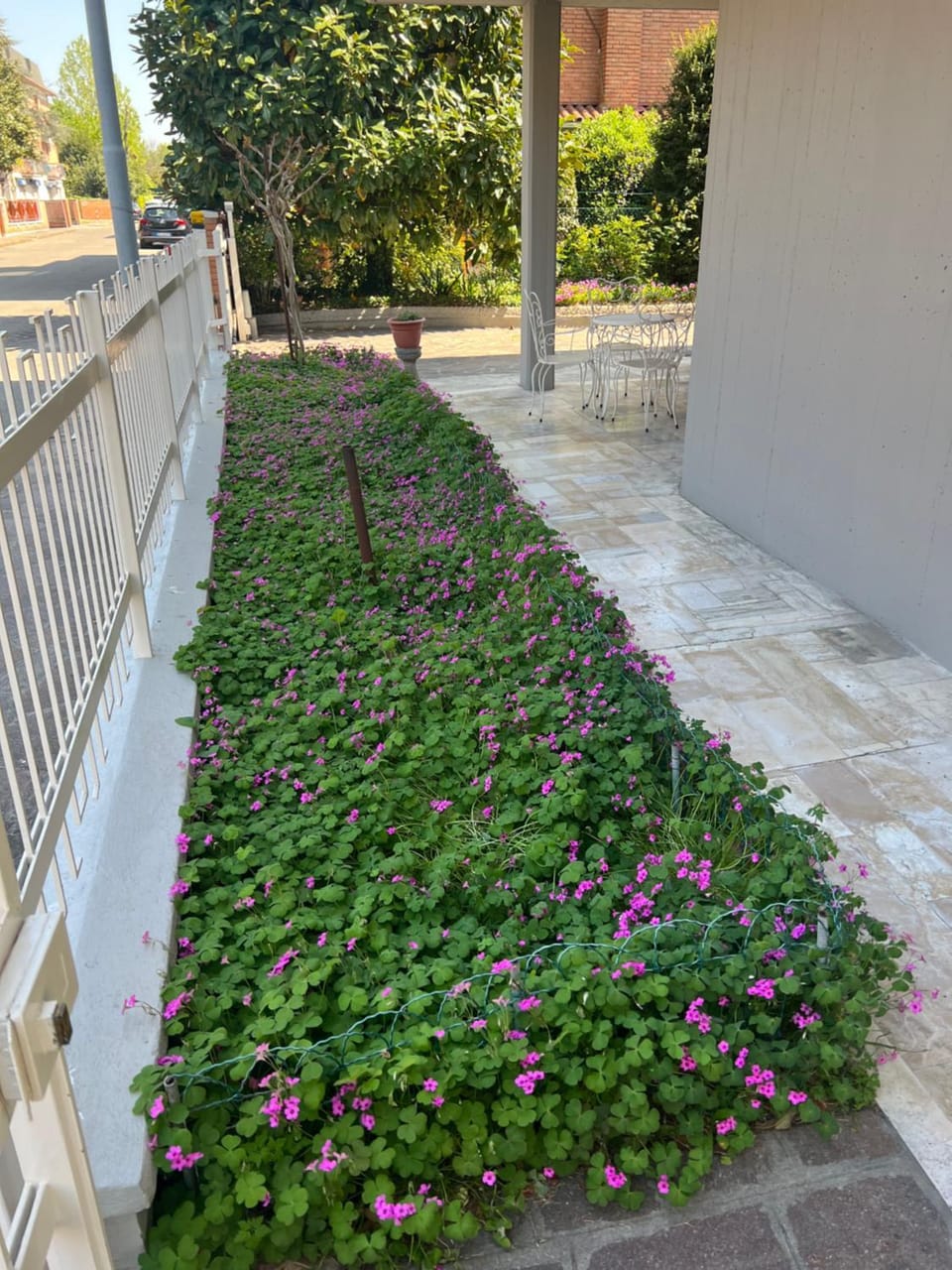 la casa del parco Ferrari Apartment in Modena