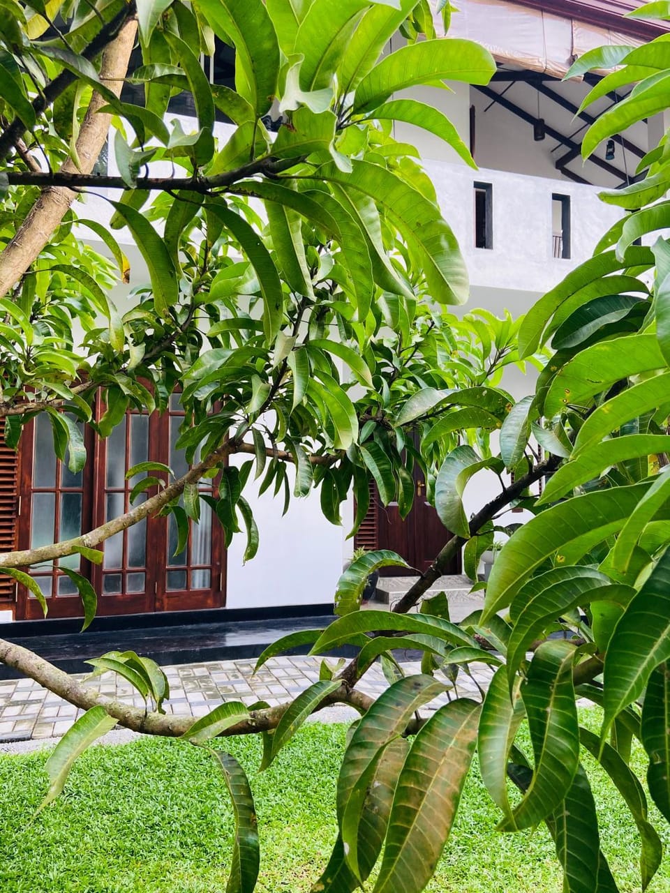 Sun White Villa Bed and Breakfast in Hikkaduwa