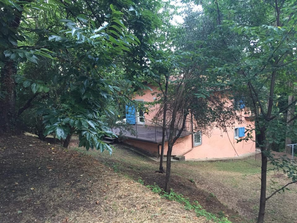 casa oliveto House in Camaiore