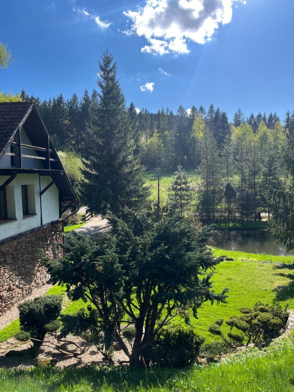 Natural landscape, Garden, Garden view