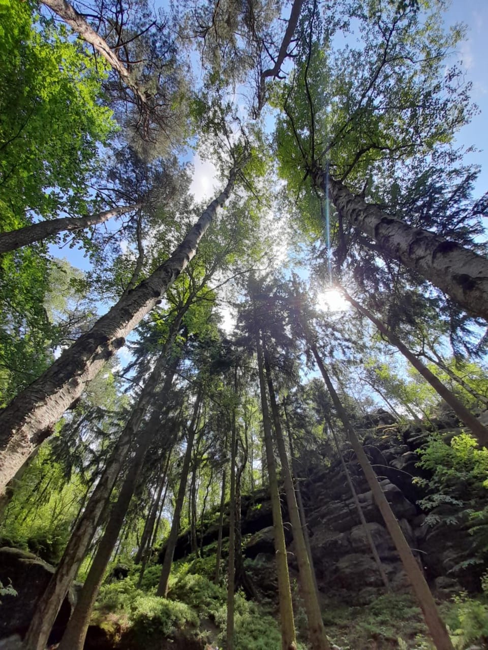 Schlummerfass an der Bockmühle Luxury tent in Sächsische Schweiz-Osterzgebirge