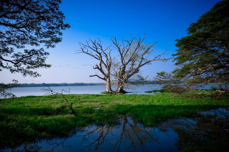 Lake view