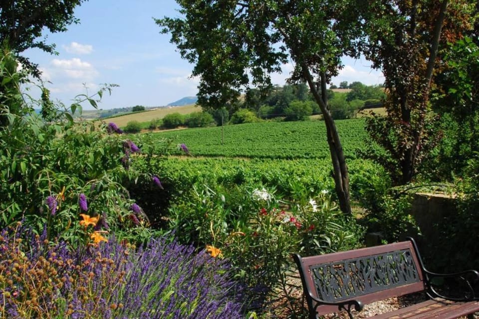 Natural landscape, Garden view
