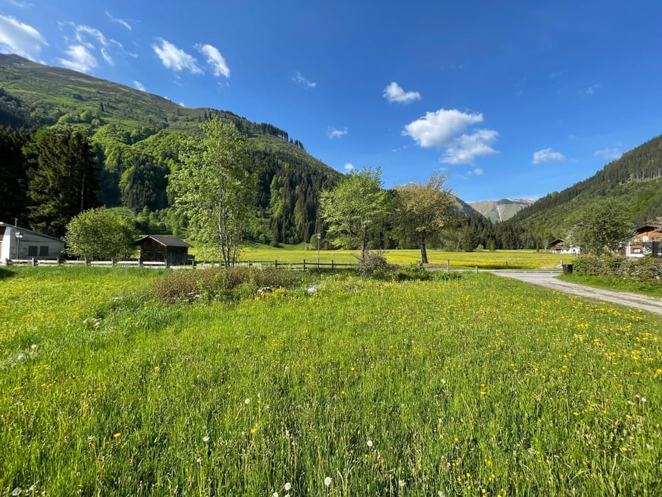 Natural landscape, View (from property/room), Mountain view