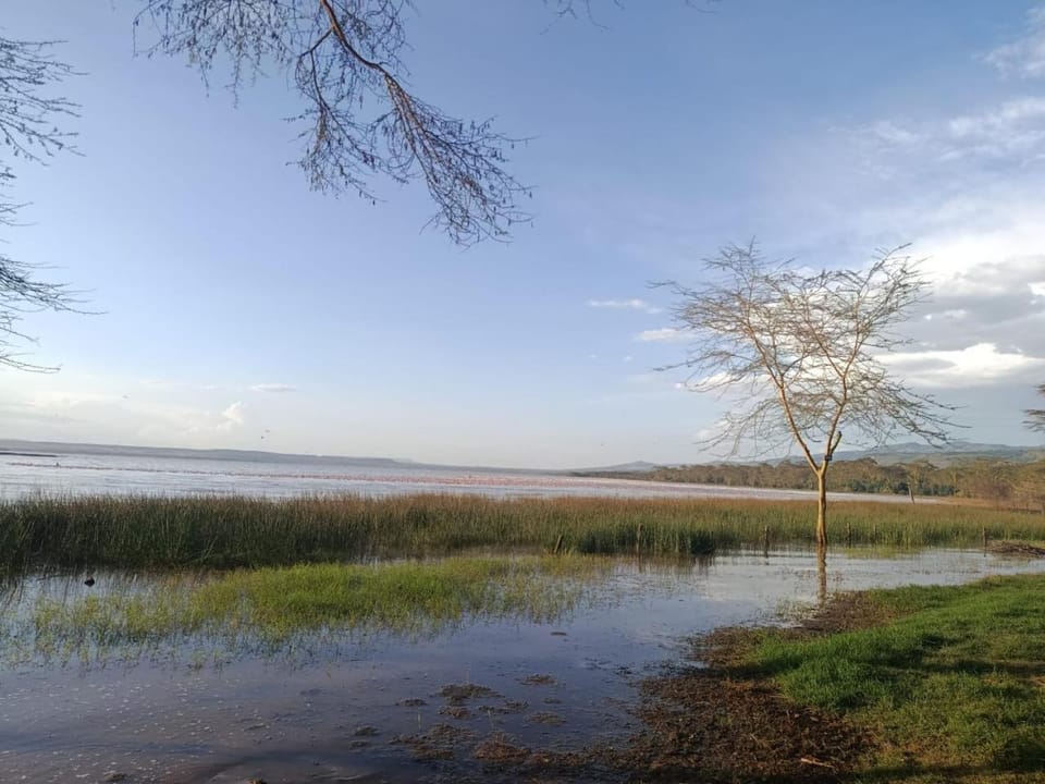 Lake view