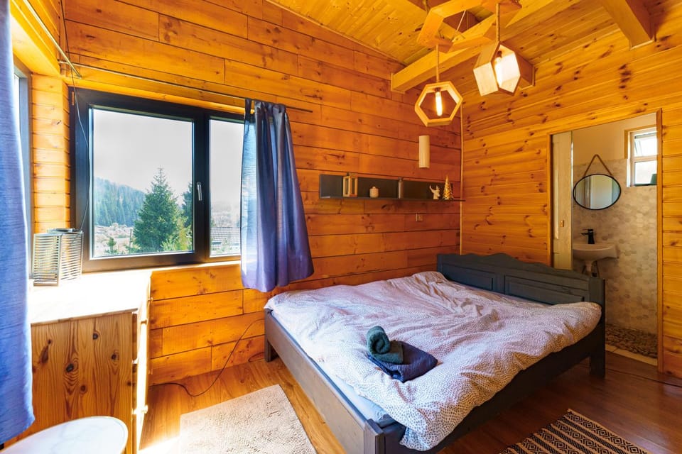 Panoramic Cabin Stânceni Cabin in Romania