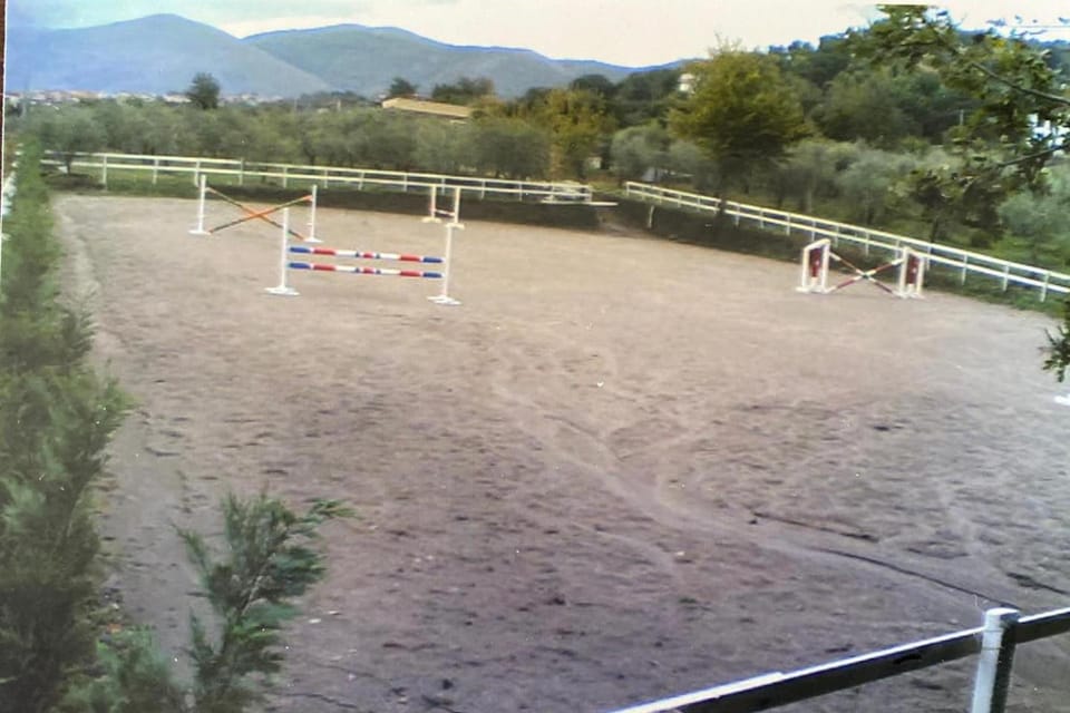 Activities, Horse-riding