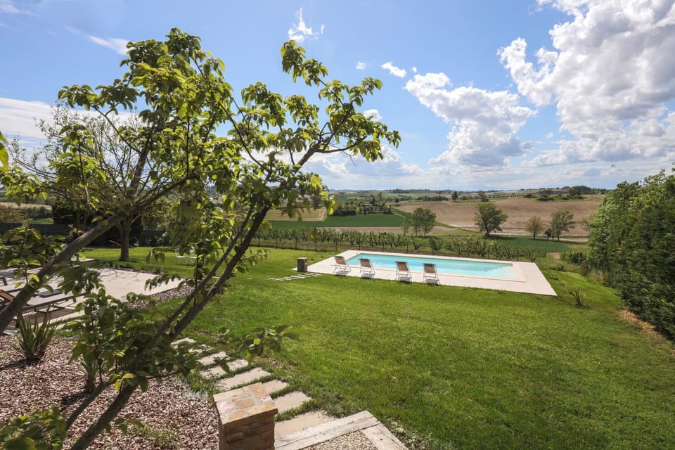 Garden, Garden view, Pool view, Swimming pool, sunbed