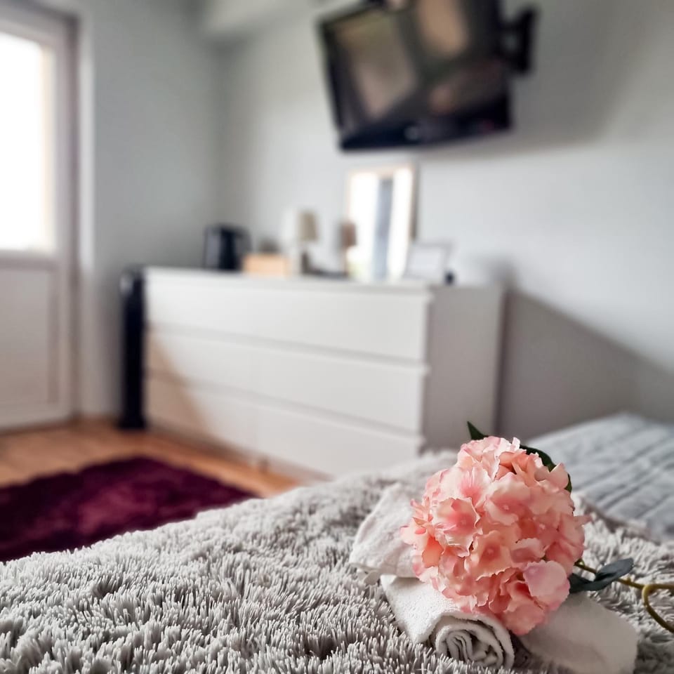 Bed, TV and multimedia, Photo of the whole room