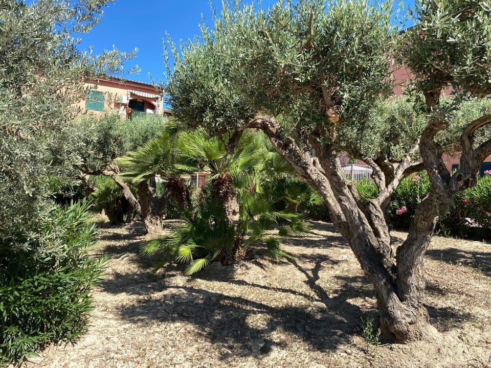 Apartment - Sleeps 3 & swimming pool Apartment in Realmonte