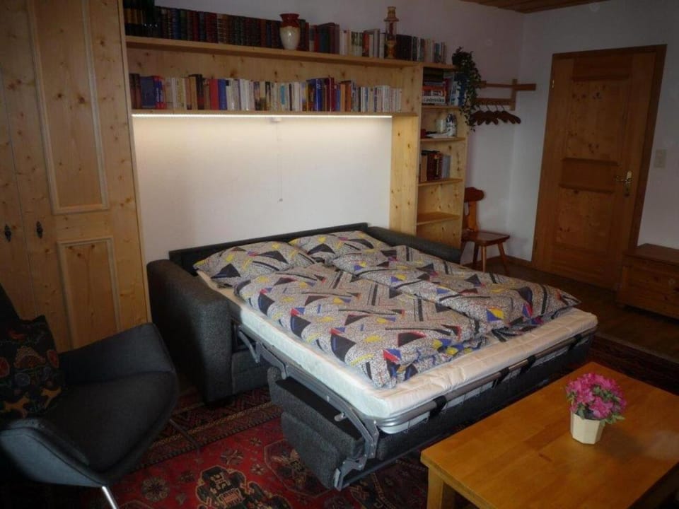 Bed, Library, Living room, Bedroom, wardrobe