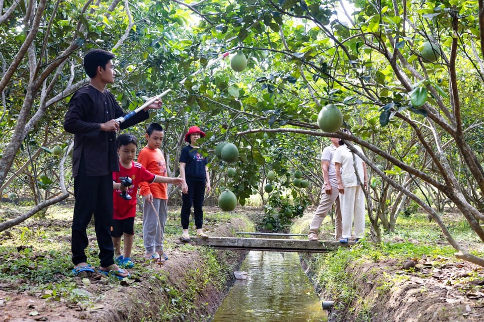 People, Natural landscape, Activities, Garden, Entertainment, children, Family
