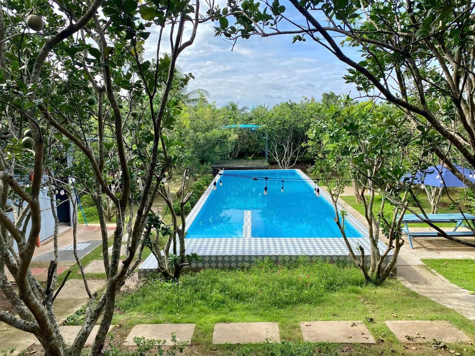 Garden, Swimming pool