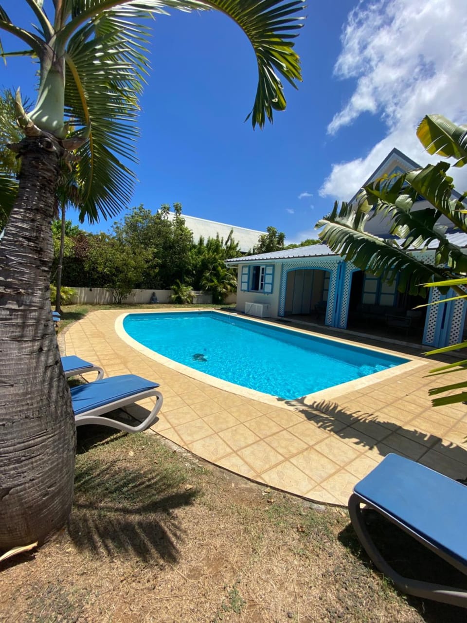 Day, Garden, Garden view, Pool view, Swimming pool, sunbed