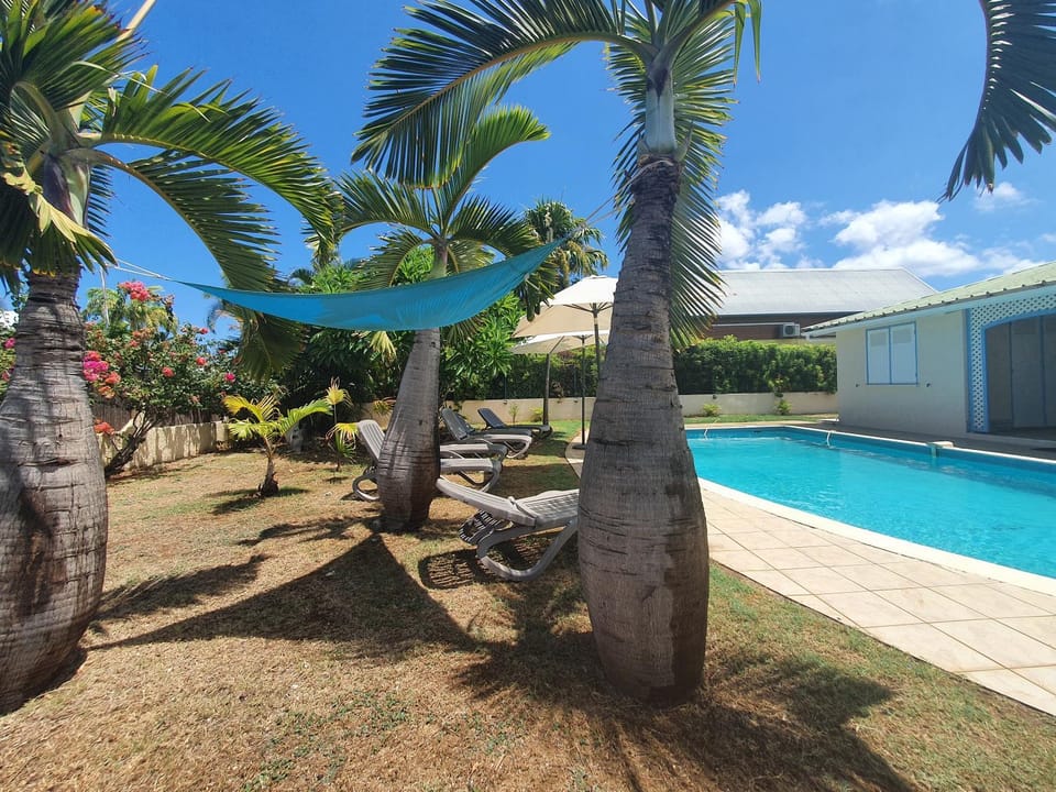 Garden, Swimming pool