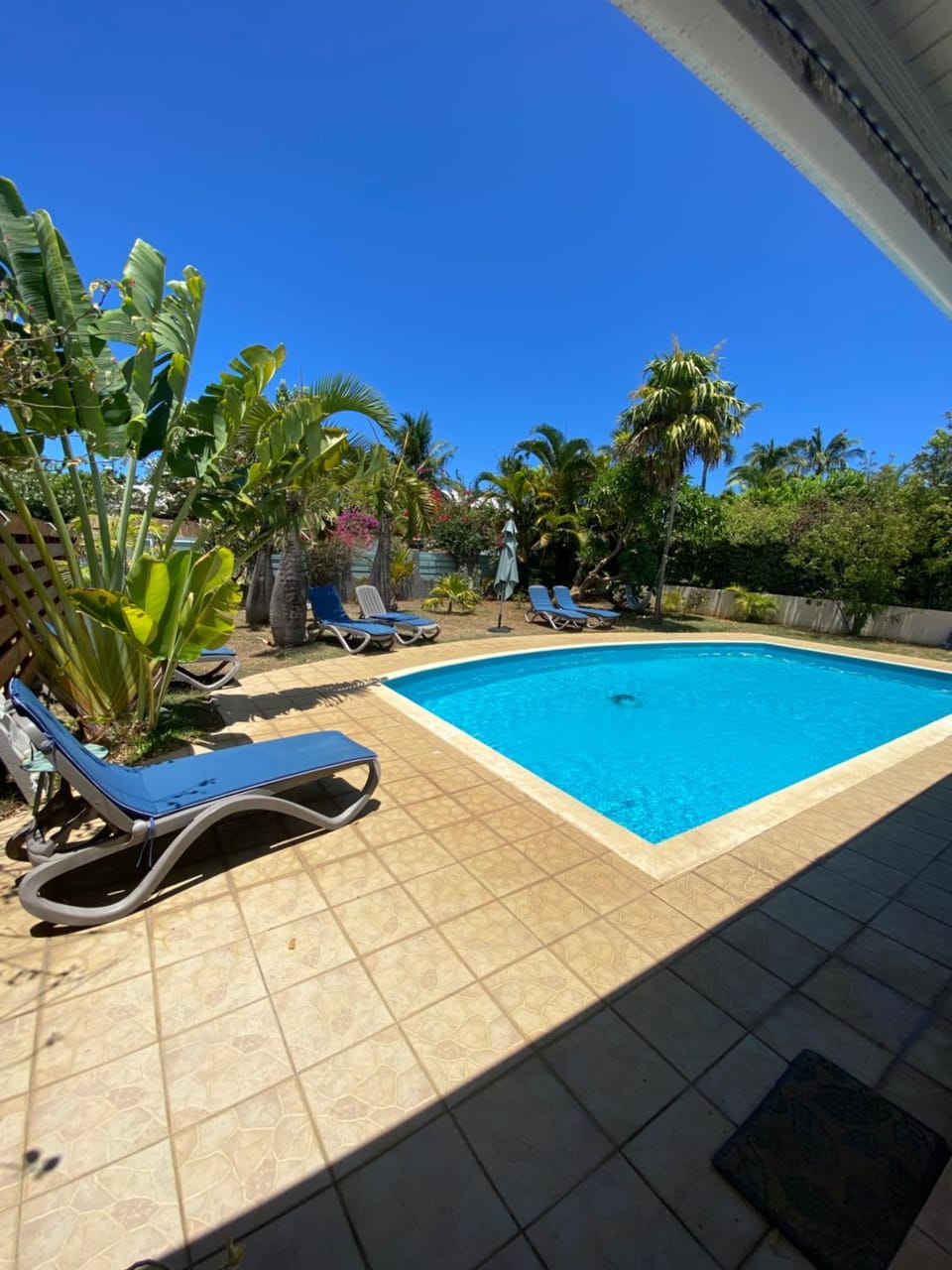 Pool view, Swimming pool, sunbed