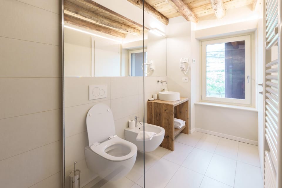 Toilet, Bathroom, bidet