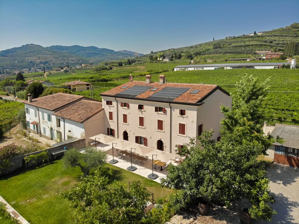 Property building, Bird's eye view, Garden