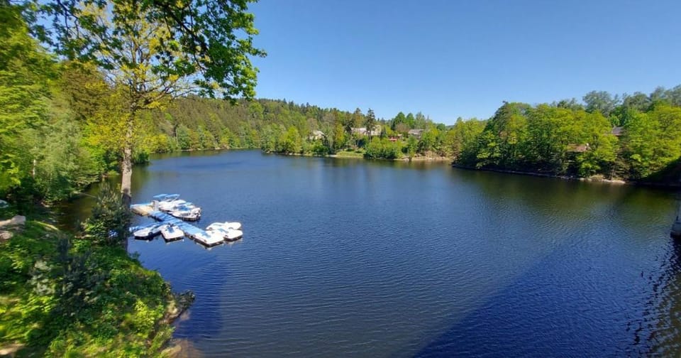 "PENZION NA BUKOVÉ HOŘE" - apartmán 9 lůžek, 1přistýlka, dětské postýlky, Turistická oblast Kralický Sněžník Apartment in Czechia