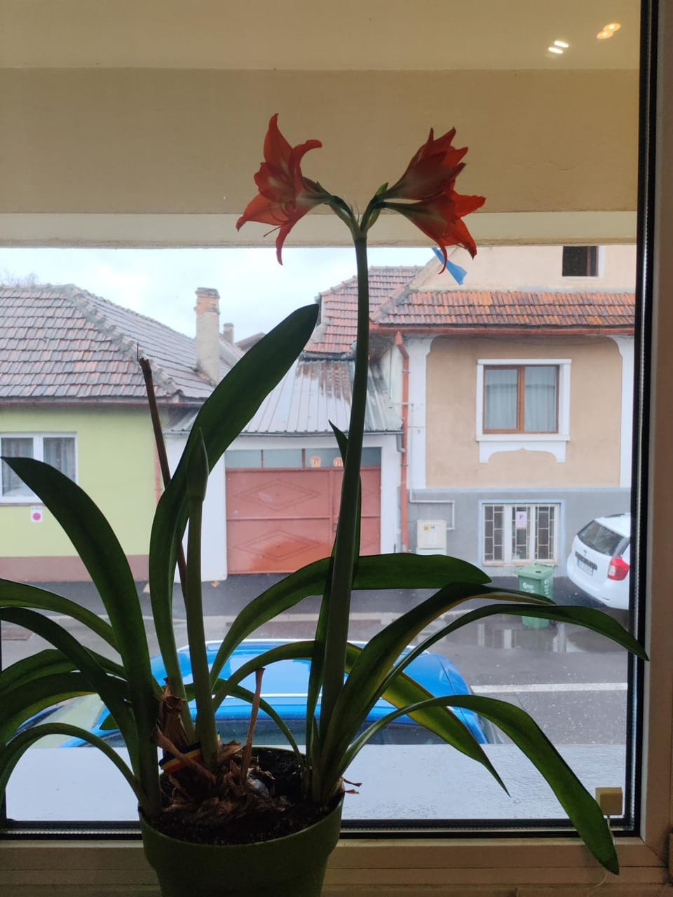 PENSIUNEA HORA Bed and Breakfast in Brasov