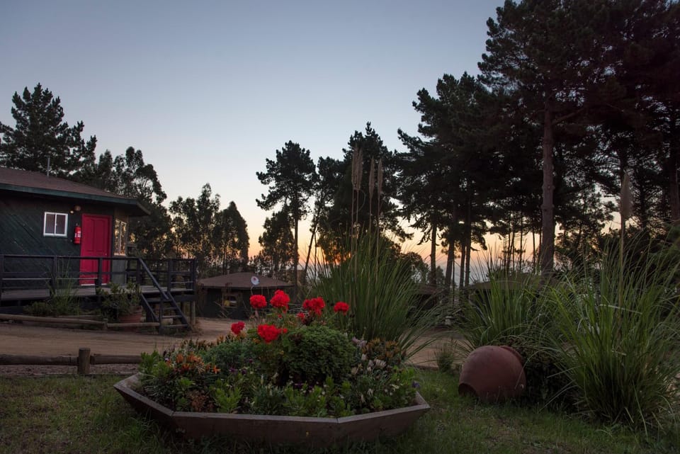 Cabañas Lugano Country House in Pichilemu