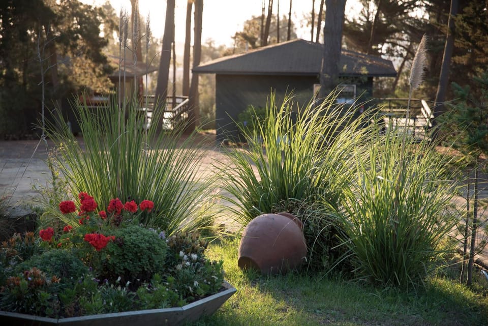 Cabañas Lugano Country House in Pichilemu