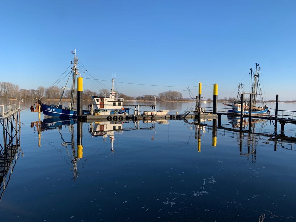 River view