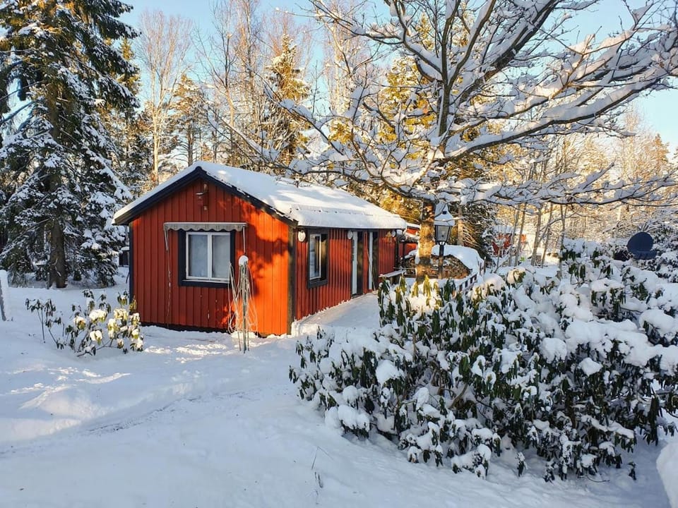 Property building, Day, Natural landscape, Winter