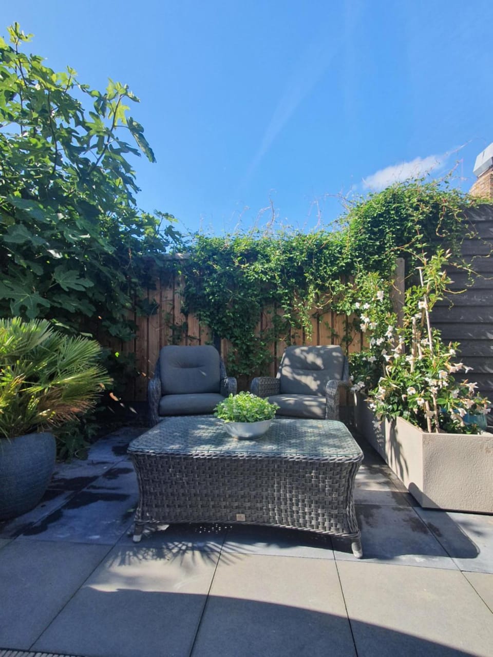 Balcony/Terrace, Seating area