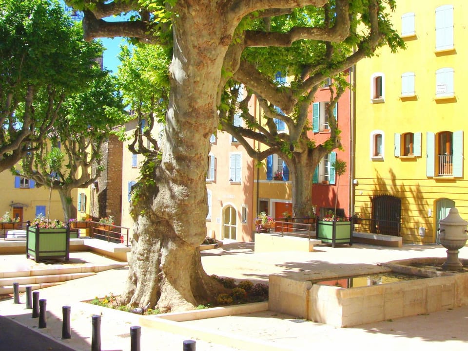 Entre Saint-Tropez et les gorges du Verdon. Apartment in Lorgues
