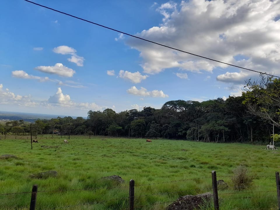 Natural landscape