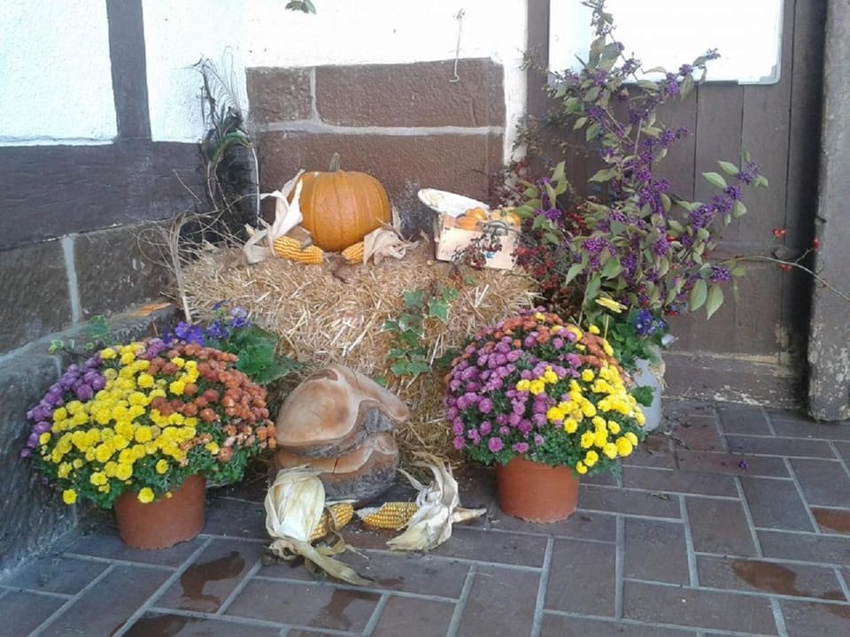Other, Decorative detail