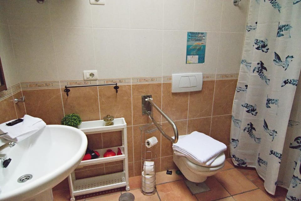 Shower, Bathroom, Facility for disabled guests