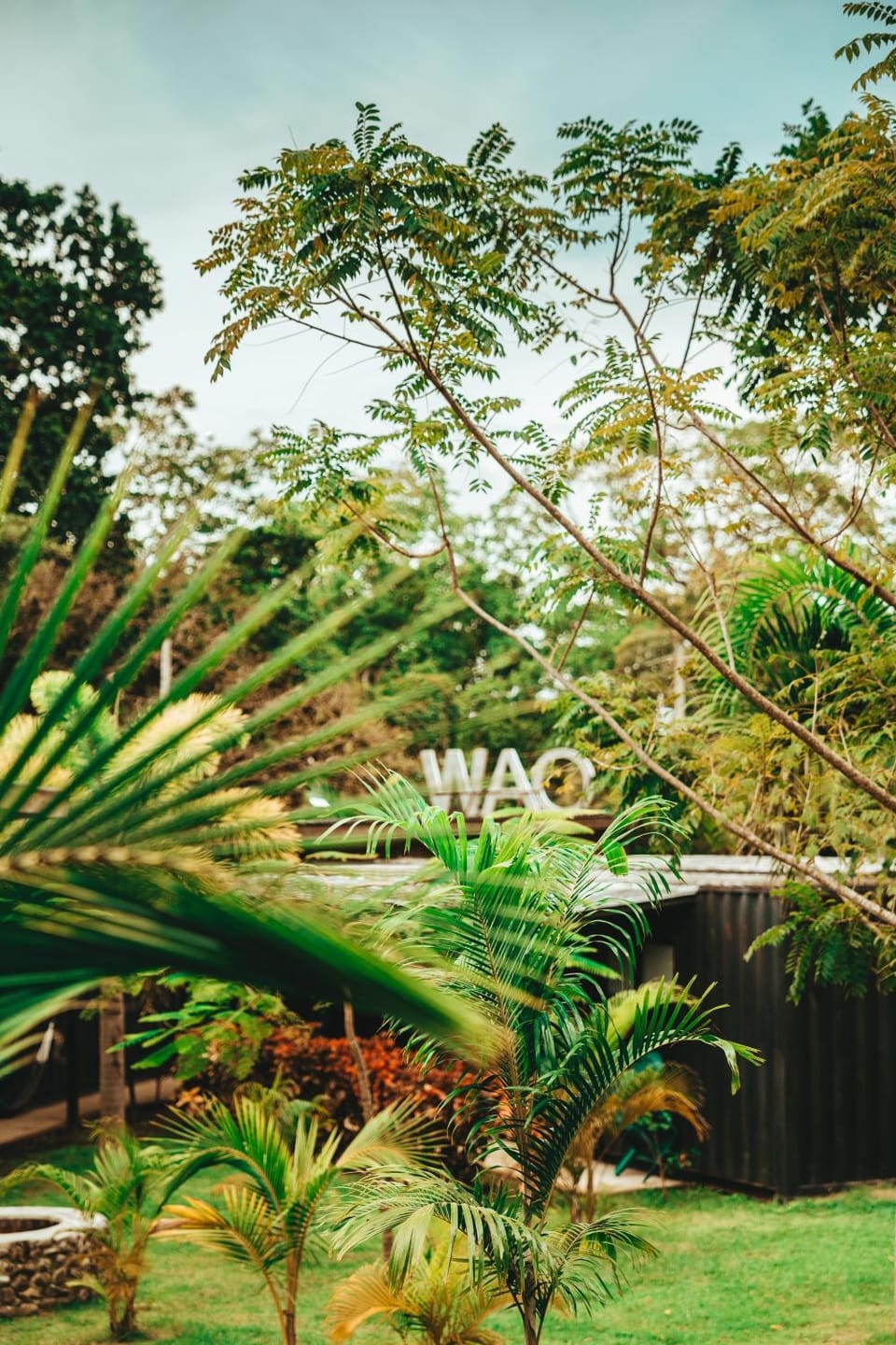 Garden view