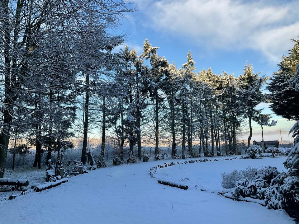 Day, Natural landscape, Winter